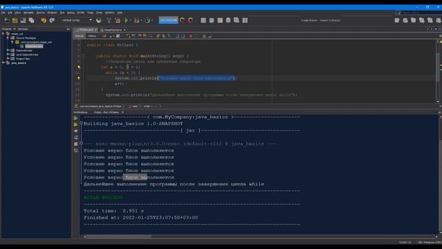Java SE - 10 часть (операторы while и do while) смотреть онлайн