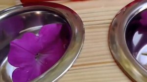 Подставка - столик под миски для собаки "Косточка"