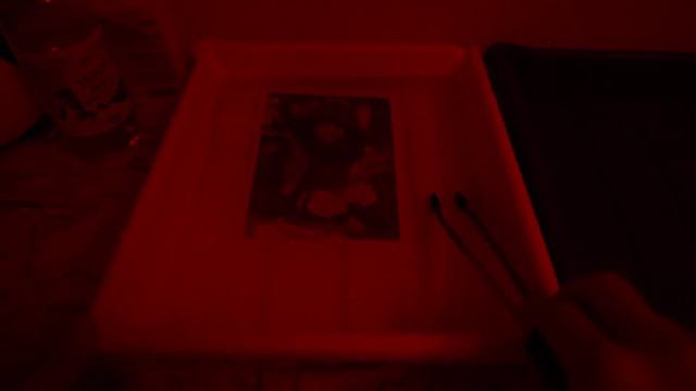 Ciemnia/Darkroom смотреть онлайн