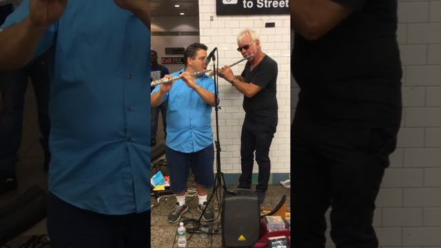 Hamming German Flute vs Di Zhao Intermediate Flute vs New York City Subway смотреть онлайн
