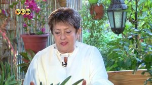 Самые неприхотливые растения – суккуленты - Цветочная лавка