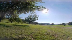 Darwin FPV - Baby Ape 2 4S - First Flight - Walksnail - Runcam Thumb Pro V2