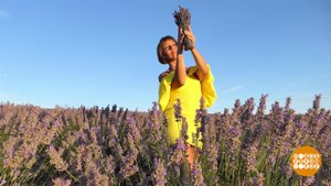 Лавандовое настроение. Доброе утро. Фрагмент выпуска от 20.07.2023