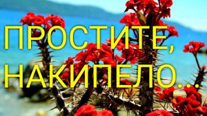 ВЛОГ Простите, накипело... / Вот это наглость...