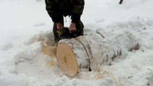 Пила не астматик (Huter BS-52 на всю шину) кряж на всю шину