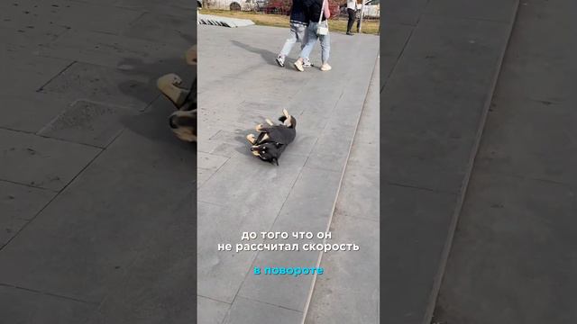 Меня чуть не угробили на пути в Армению!!! Часть 1. Путешествие из Батуми в Ереван смотреть онлайн