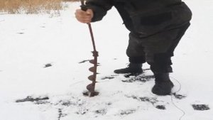 ВЫЖИВАЛО БУРИТ ДЫРКУ.