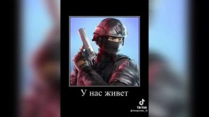у нас живёт цыпленок,курица,петух