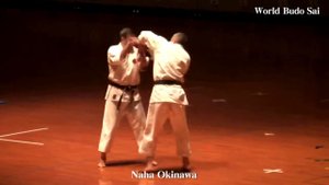 World Budosai 2012, Victor Panasiuc avi