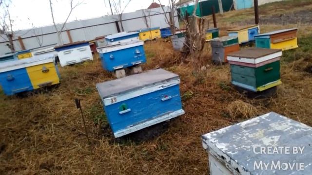 ?НАЧАЛО ЗИМОВКИ ПЧЕЛ ?ЗАБРАЛ ВТОРОЙ ТОЧОК.❄пчёлы в клубе смотреть онлайн