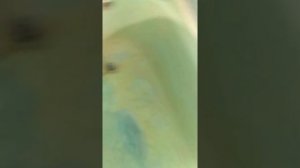 Как отмыть эмалированную чугунную ванну