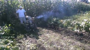 Самодельный мотоблок Д-300