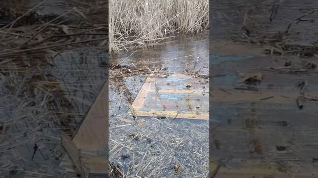 2023 01 02 р Кагальник смотреть онлайн