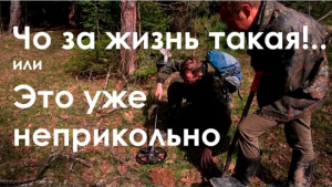 Чо за жизнь такая!.. или Это уже неприкольно