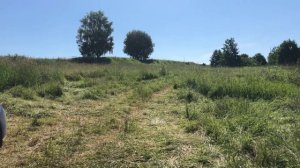 Утро на берегу озера. Иван Никитин.