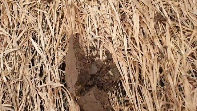 Первый выезд с Simplex Plus сезон 2022  деньга Павел 1