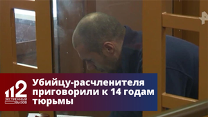 Питерского убийцу-расчленителя приговорили к 14 годам тюрьмы