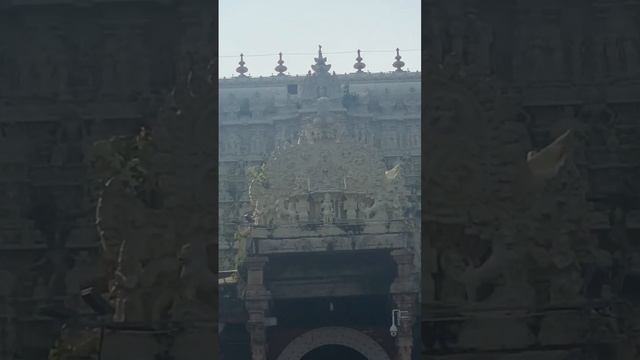 Sree Padmanabhaswamy Temple  #padmanabhaswamy #temple #southindian #kerala #tour #tourism #travel