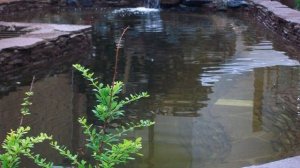 Искусственные водоёмы и водопады. видео pruddecor.ru