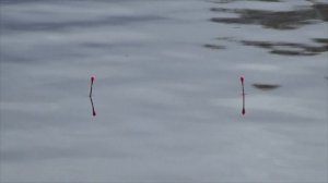 Фишка на карася в октябре! Не все караси клюют по справочнику....mp4