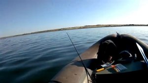 Супер окуня! Микроджиг с лодки!