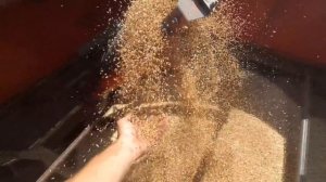 Уборка пшеницы 10.07.2018. Комбайн Дон 1500.