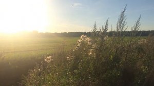 перелет с посадкой авг 2017г