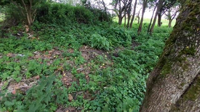 Зашли в магазин купить мороженое. Прогулка по селу! смотреть онлайн