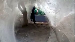 Аномальное нашествие пауков в Пакистане Все деревья в паутине