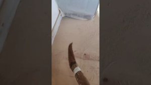 пол из сосновой доски(золотой пол)