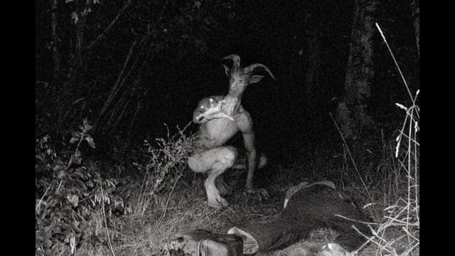 Tragamonedas de horror Tragamonedas de horror