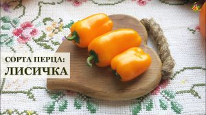 Перец ЛИСИЧКА / Сорта перца