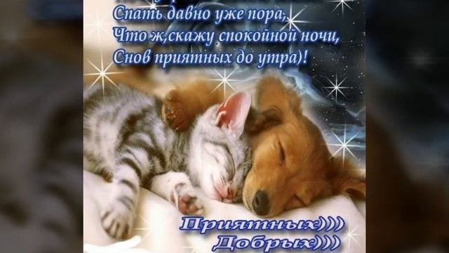 Доброй осенней ночи! Сладких снов! / Goodnight! / Надобраніч! / تصبح على خير! / ¡Buenas noches!