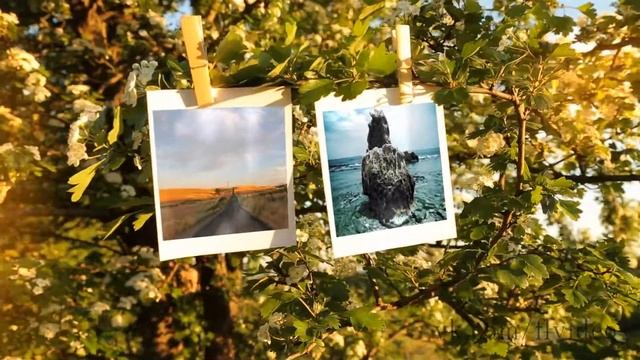 Девушка развешивает фотографии на ветках деревьев FullHD смотреть онлайн