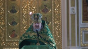 архимандрит Николай (Парамонов) " Как обрести Чистоту"