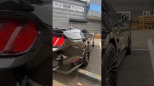 Mustang 2.3 2015 Первый опыт владения в Корее