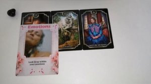 *HOW DOES HE "TRULY" FEEL*  Oracle/Message Card Reading.