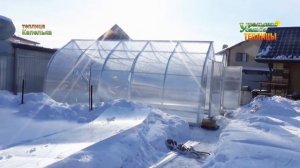 ТЕПЛИЦА «КАПЕЛЬКА 2,5М КРЕПЫШ» УСИЛЕННЫЙ КАРКАС ИЗ ОЦИНКОВАННОЙ ТРУБЫ 20Х40.