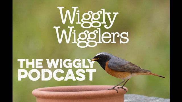 Wiggly Podcast 0057 смотреть онлайн