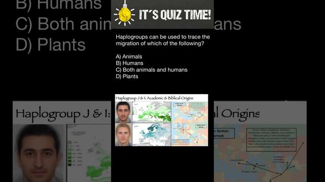 Haplogroups can be used to trace the migration of which of the following?