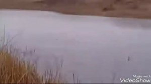 Щука на живца.Бешенный клев.Рузаевка