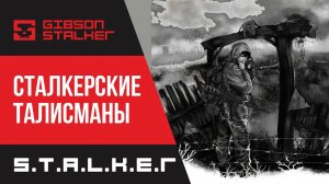 S.T.A.L.K.E.R : ФОТОГРАФ ► СТАЛКЕРСКИЕ ТАЛИСМАНЫ  ► 4 серия