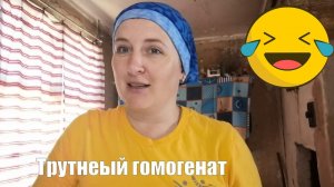 Трутневый гомогенат. Свойства, приготовление, пропорции.