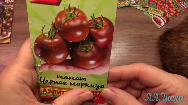 Семена томатов. История 2