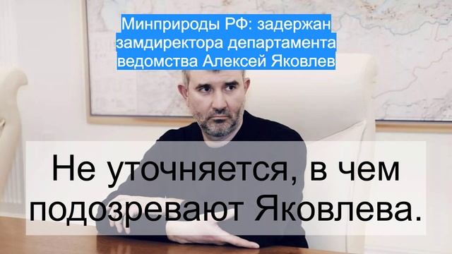 Минприроды РФ: задержан замдиректора департамента ведомства Алексей Яковлев