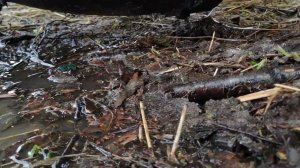 взвесил вездеход чебуратор 4х4