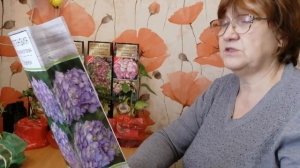 Украсим сад новыми растениями) Гортензии) Кальмия) Камелия) Лимон) Красивые новинки для моего сада)