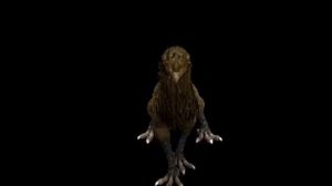 My Advanced Spore creations