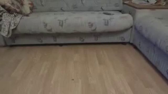 просочилась таки под диван