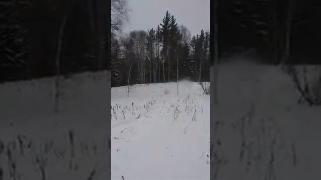 Снегоходы.Артикэт VS Ямаха смотреть онлайн